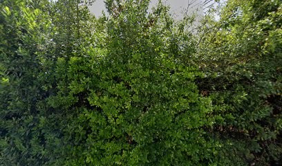 Ajp Paysagisme, Paysagiste à Cavignac