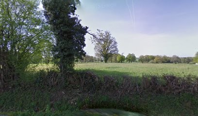 EURL BOURGOIN, Paysagiste à Saint Junien