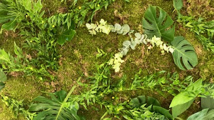 La Main Verte, Paysagiste à Vitry-sur-Seine