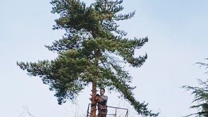Entreprise Robert, Paysagiste à Saint-André-de-l'Eure