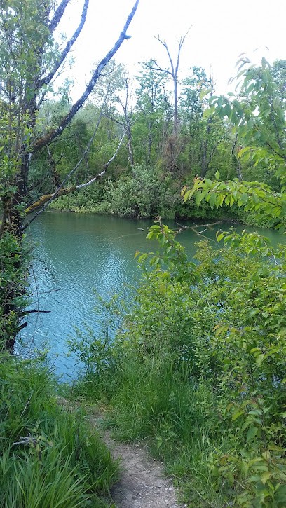 Fevre Viellard Paysage, Paysagiste à Roset-Fluans