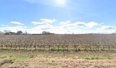 Chaignes Alain Jardins, Paysagiste à Villeneuve-lès-Béziers