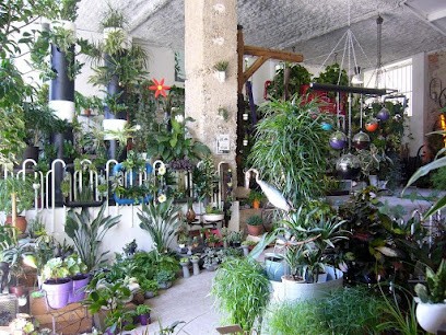 Moss Smart Nature, Paysagiste à Saint-Genis-Laval