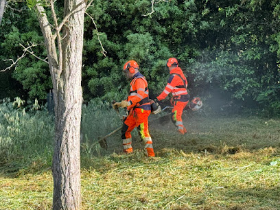 Forêt Occitane, Paysagiste à Blagnac
