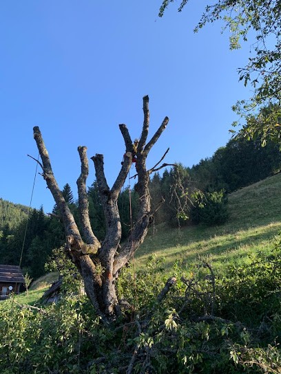 Héry Paysages, Paysagiste à Ugine