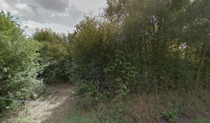 ABC Paysage, Paysagiste à Montereau