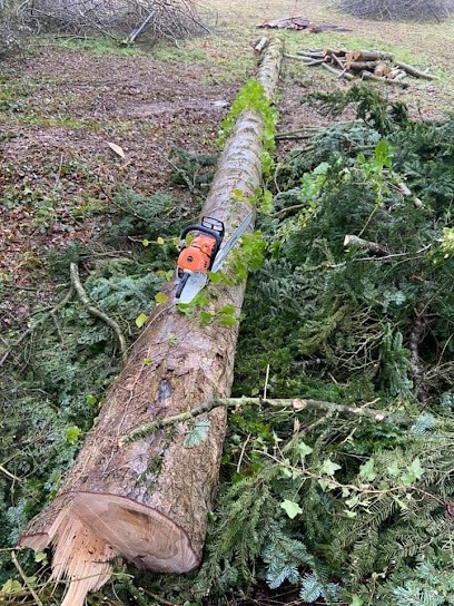 Pierre Elagage et Paysage, Paysagiste à Fourneville