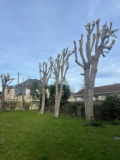 Le Verd Paysagiste, Paysagiste à Ranville
