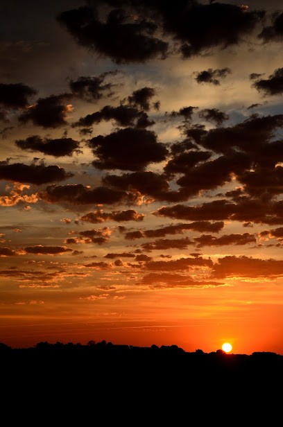 NATURE L., Paysagiste à Saint-André-de-Chalencon