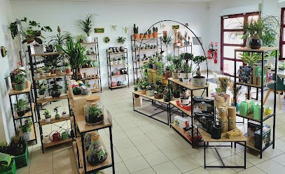 Esprit framboise, Paysagiste à Woincourt