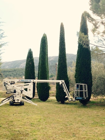 SARL ETIENNE TODD, Paysagiste à Robion