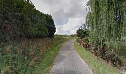 ARBRELAGAGE, Paysagiste à Orx