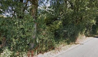 Biteau & Renou Paysagistes, Paysagiste à Mouchamps