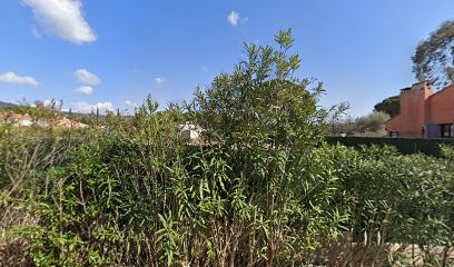 Topiarus création et entretien de jardin dans le Var, Paysagiste au Plan-de-la-Tour