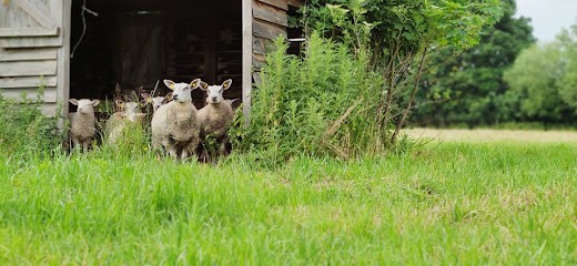 Ovi Terre Happy, Paysagiste à Witternesse