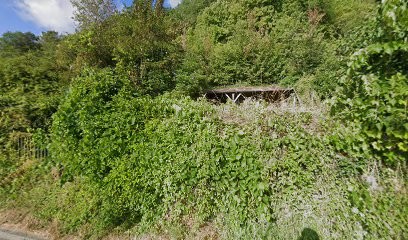 Flore Et Nature, Paysagiste à Antogny-le-Tillac