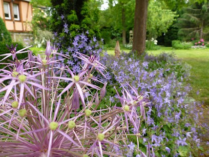 Natura Paysage, Paysagiste à Hilsenheim