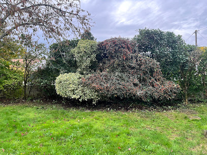 Coffigny Jardin Paysagiste à Bouaye