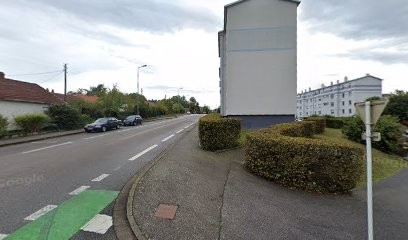 Henry Johnny, Paysagiste à Saint-Dié-des-Vosges