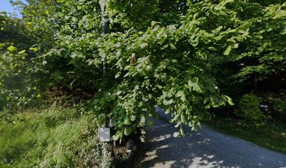 Les Coulisses du Jardin, Paysagiste à Bourg-des-Comptes