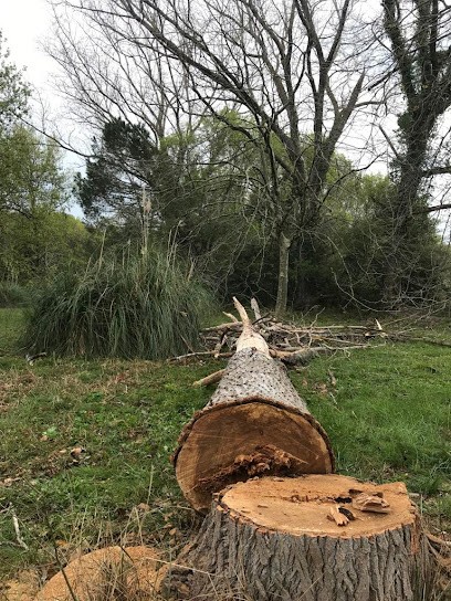 SOS Jardin Elagage, Paysagiste à La Croix-Valmer