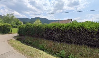 Viriot Daniel, Paysagiste à Saint-Dié-des-Vosges