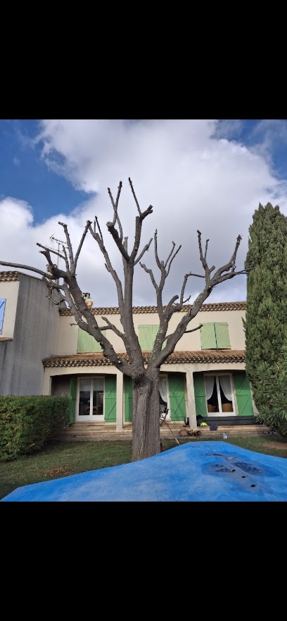 B.o.jardin Paysagiste à Lespignan