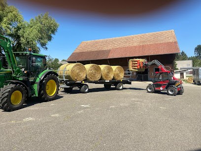 Verdure Service, Paysagiste à Hagenthal-le-Bas