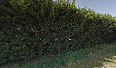 Roubet Alain, Paysagiste à Clairac