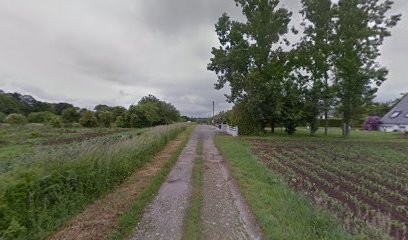 Art et Jardins, Paysagiste à Caudan