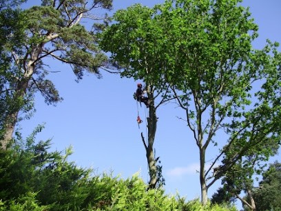EVEA bois, Paysagiste à Grandchamps-des-Fontaines