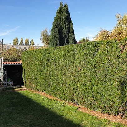 M.Edouard Élagueur Elagage Abattage Entretien Espaces Vert, Paysagiste à Esbly