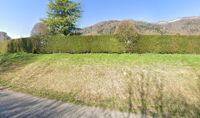 SARL Patrick Gueunier Paysagiste, Paysagiste à Menthon-Saint-Bernard