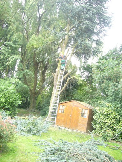 Aux Plaisirs Du Jardin, Paysagiste à Iwuy