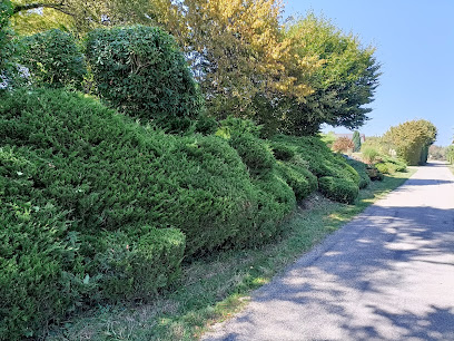 D'vert Paysagiste à Saint-Jean-de-Moirans