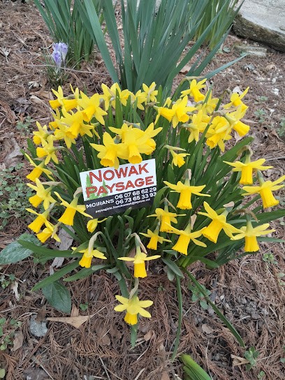 NOWAK PAYSAGE, Paysagiste à Moirans