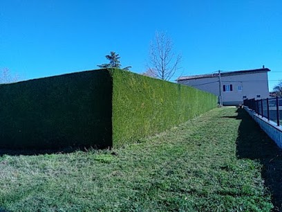 GREEN SERVICES, Paysagiste à Saint-Maurice-l'Exil