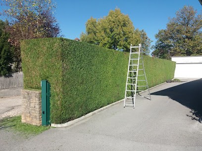 LA MAIN VERTE Espaces Verts, Paysagiste à Melay