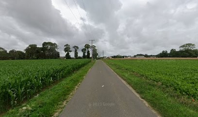VINCENT Paysage, Paysagiste à Gerponville