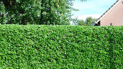 Cd Jardin Et Multi-Services Paysagiste à Marcoussis