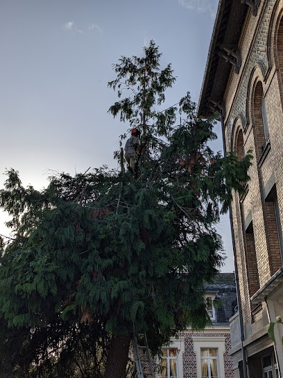 Taillis Espaces Verts - ERB Franck, Paysagiste à La Neuville-en-Beine