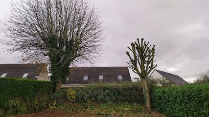 Espace vert et rénovation, Paysagiste à Sotteville-lès-Rouen