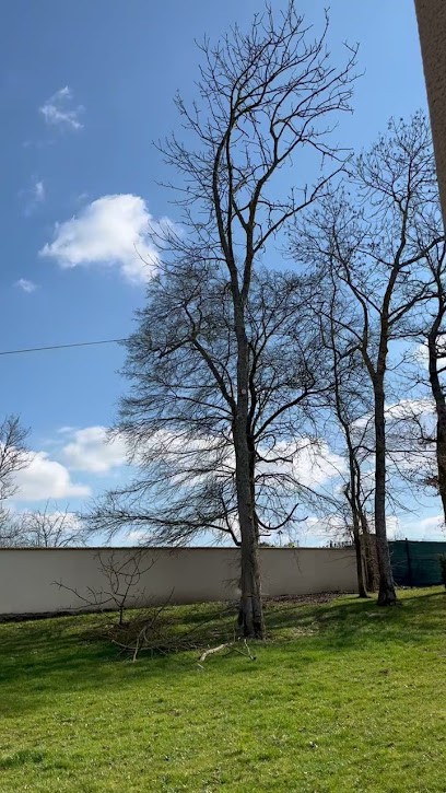 Pereira Paysagiste, Paysagiste à Dourdan