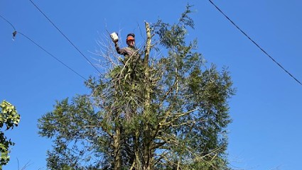 Toutain Élagage, Paysagiste à Maisons-Laffitte