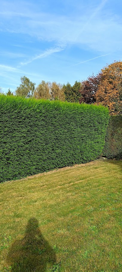 Vert Vos Jardins, Paysagiste à Saint-Martin-le-Bouillant