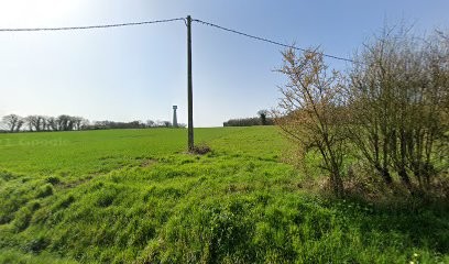 qg paysage, Paysagiste à Bernay-Saint-Martin