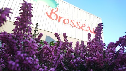 Brosseau Paysagiste, Paysagiste à La Boissière-de-Montaigu