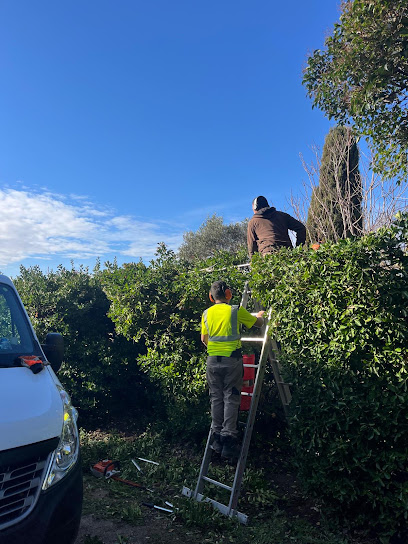 Ateliers De Maguelone - Entretien Espaces Verts, Paysagiste à Lattes