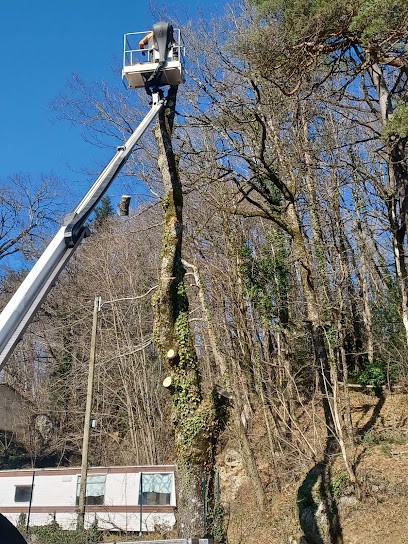 Hoffmann Michel, Paysagiste à Albi