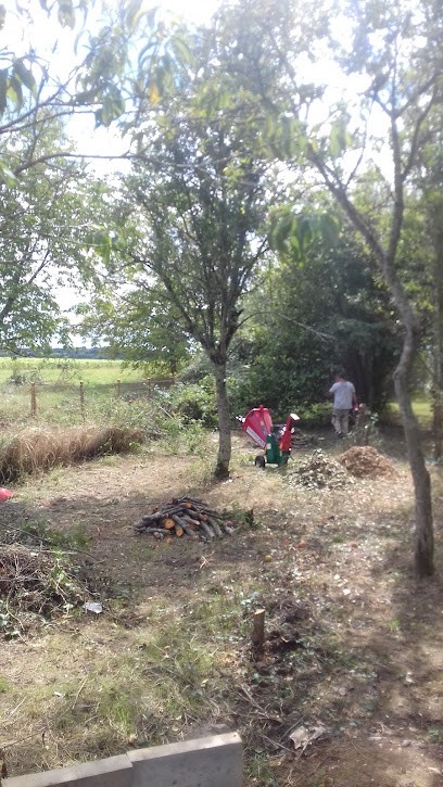 Jardin zen bléré, Paysagiste à Bléré